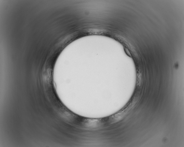 X0000116430093201001191520
