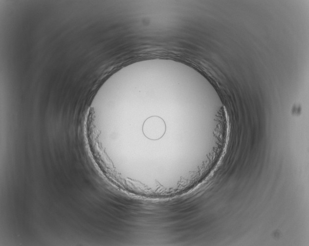 X0000116430096201001191520