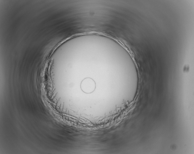 X0000116430097201001191519