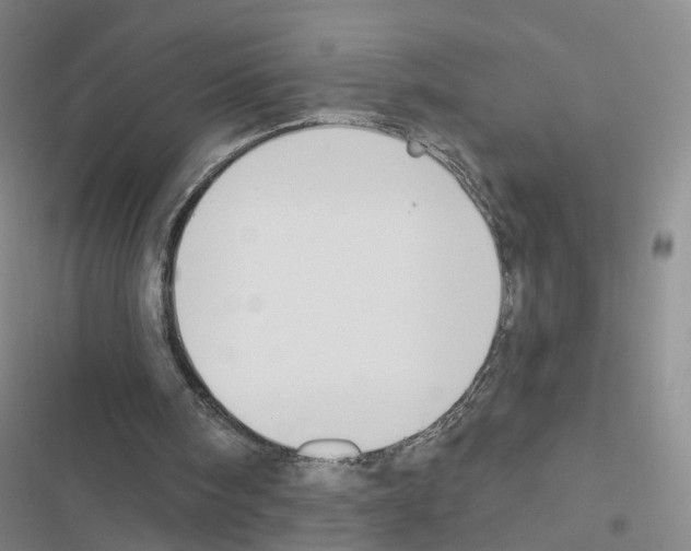 X0000116430098201001191519