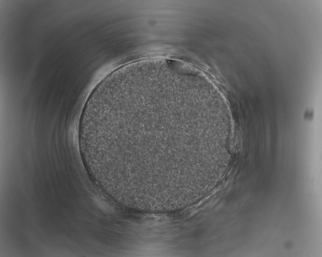 X0000116430099201001191519