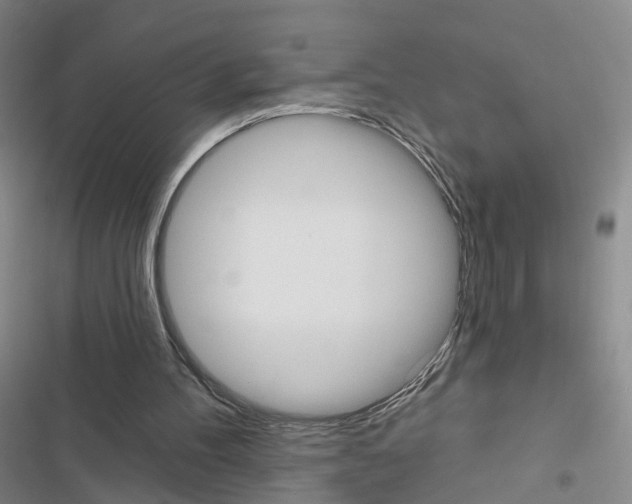 X0000116430100201001191519