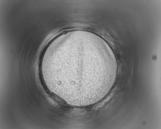 X0000116430101201001191519