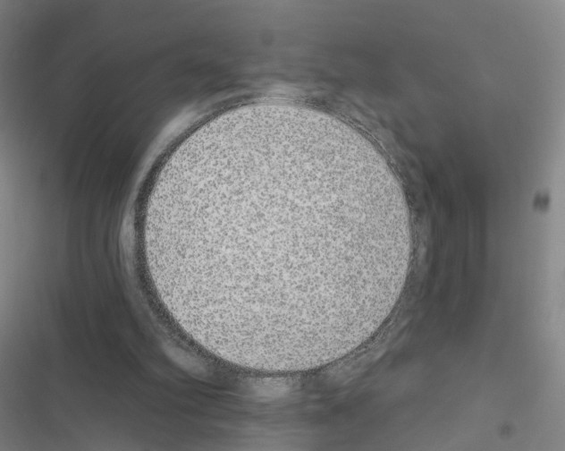 X0000116430102201001191519