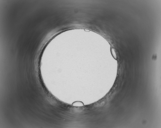 X0000116430103201001191519