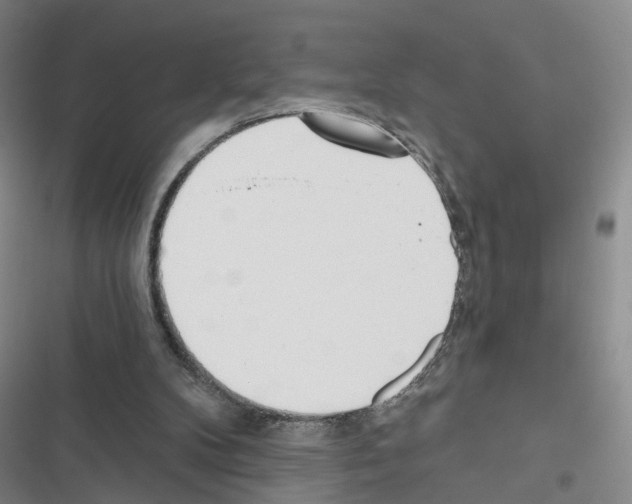 X0000116430104201001191519