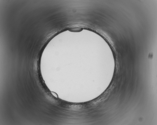 X0000116430105201001191519