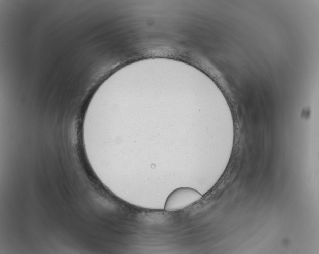 X0000116430106201001191519
