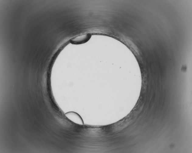 X0000116430108201001191519
