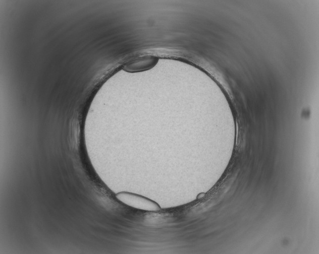 X0000116430109201001191519