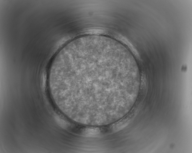 X0000116430110201001191519