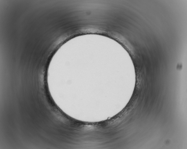 X0000116430111201001191519