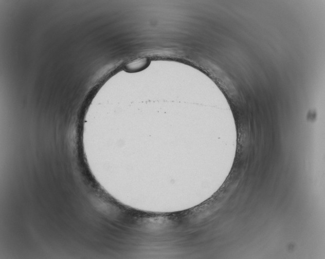 X0000116430112201001191519
