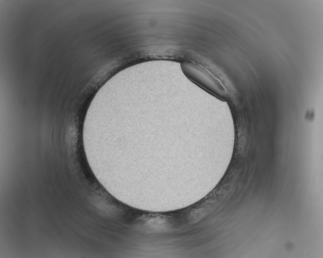 X0000116430113201001191519