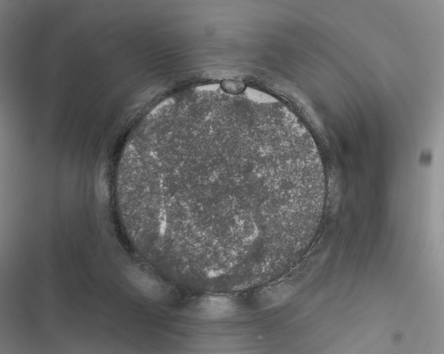 X0000116430114201001191519