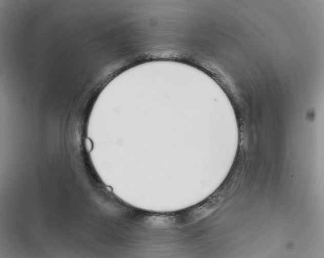X0000116430115201001191519