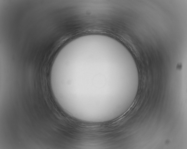 X0000116430116201001191519