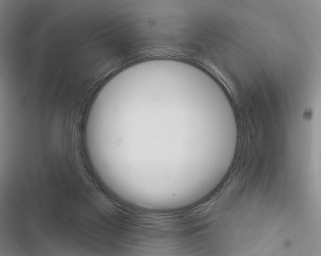 X0000116430117201001191519