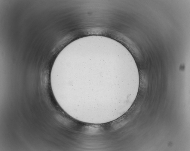 X0000116430118201001191519
