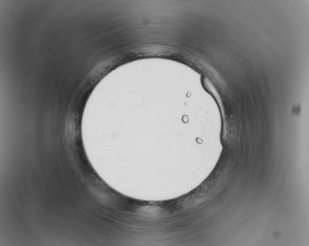 X0000116430119201001191519
