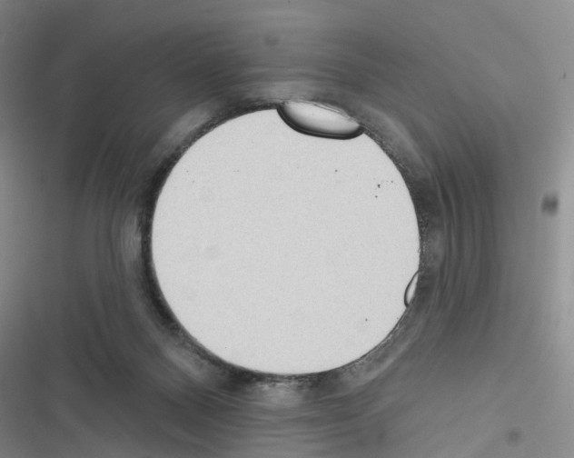 X0000116430120201001191519