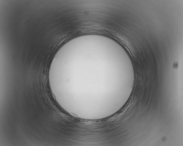 X0000116430121201001191519