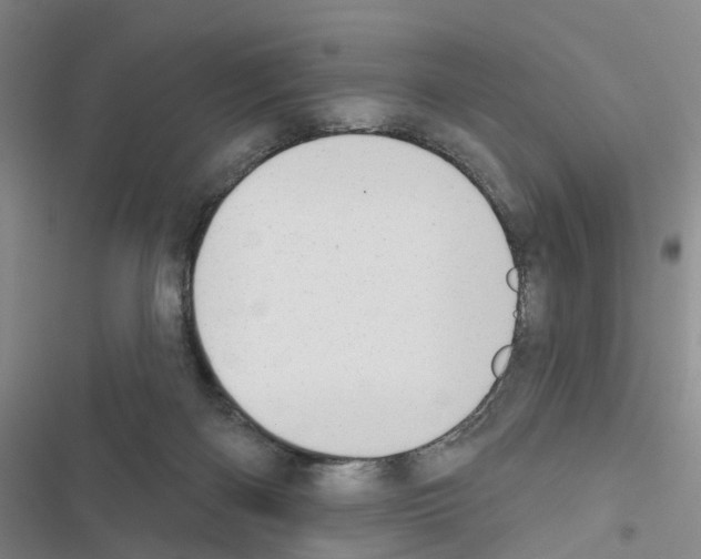 X0000116430122201001191519