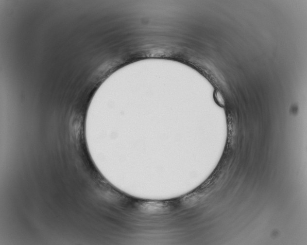 X0000116430123201001191519