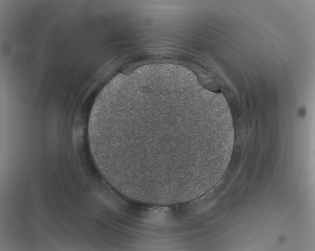 X0000116430124201001191519