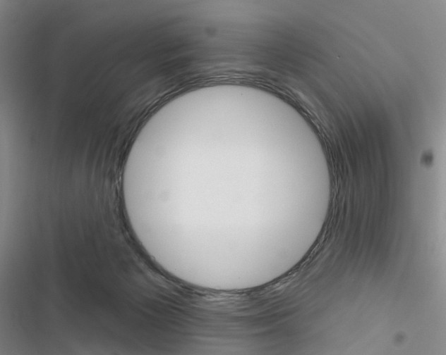 X0000116430125201001191519
