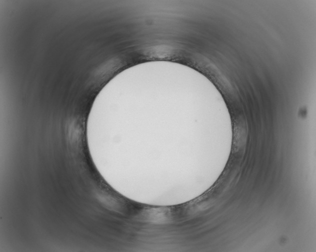 X0000116430126201001191519