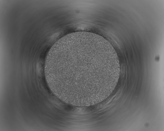 X0000116430127201001191519