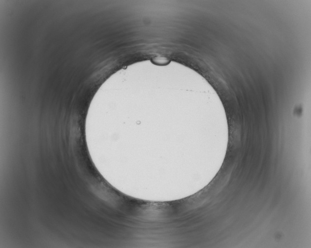X0000116430128201001191519