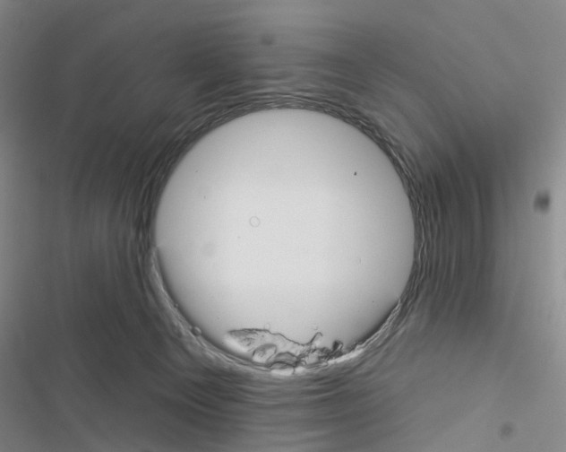 X0000116430129201001191519
