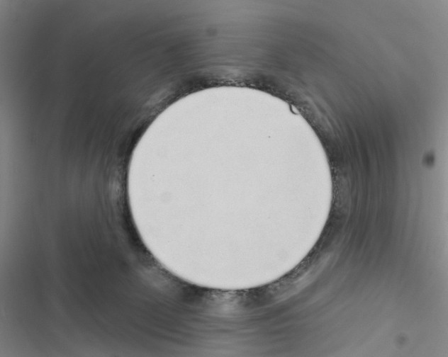 X0000116430131201001191519