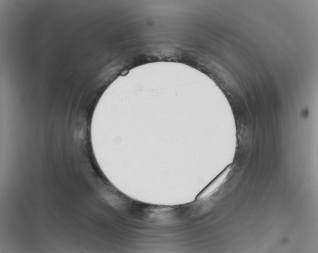 X0000116430132201001191519
