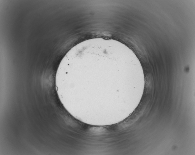 X0000116430133201001191519