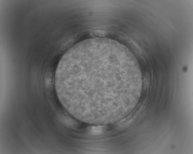 X0000116430134201001191519