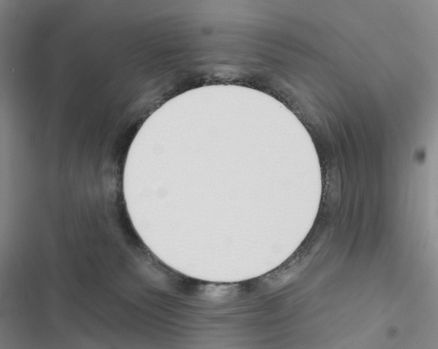 X0000116430135201001191519