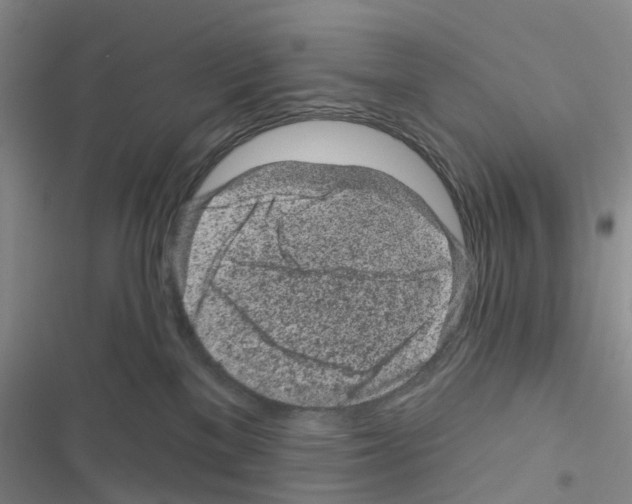 X0000116430137201001191519