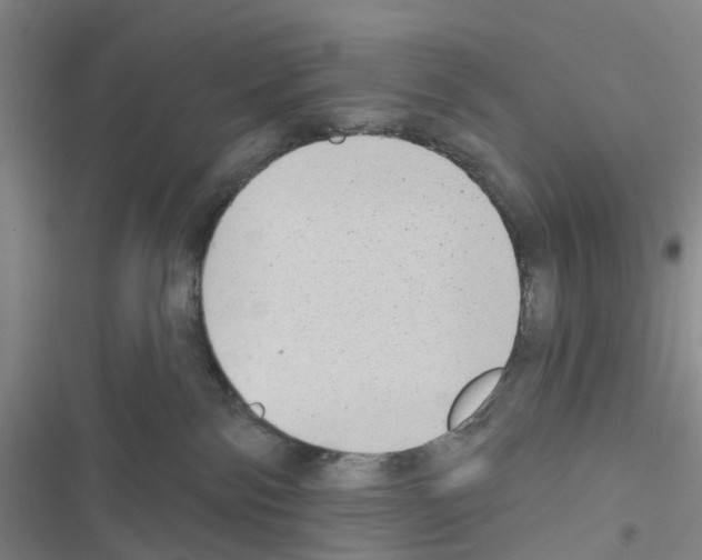X0000116430138201001191519