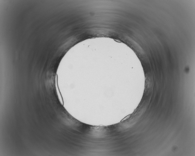 X0000116430141201001191519