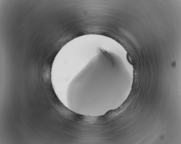 X0000116430143201001191519