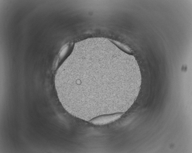 X0000116430144201001191518