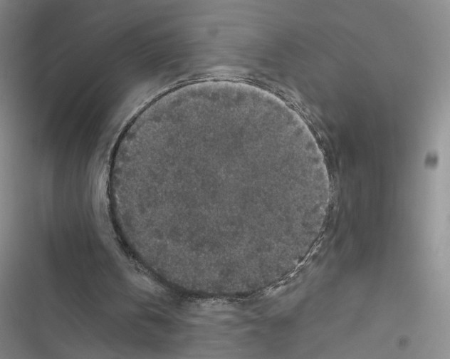 X0000116430146201001191518