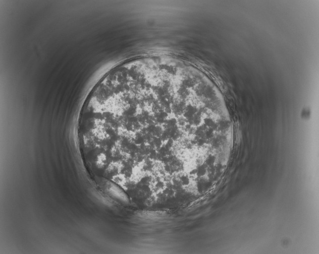 X0000116430147201001191518