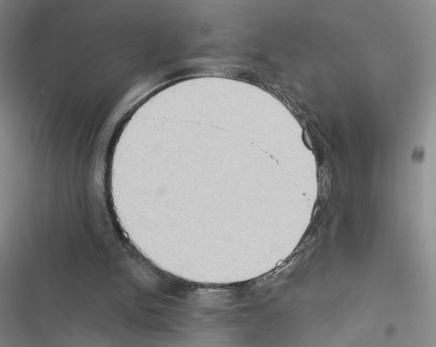X0000116430150201001191518