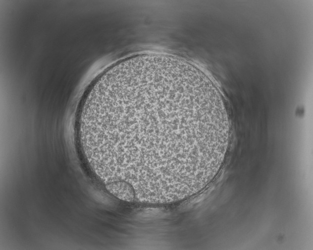 X0000116430151201001191518