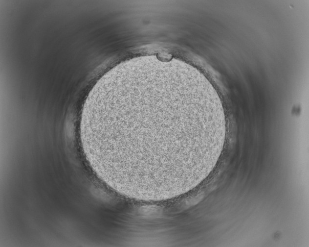 X0000116430153201001191518
