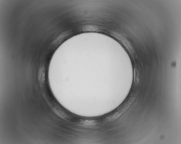 X0000116430157201001191518